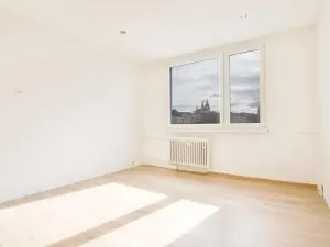 Pronájem bytu 1+kk, Žatec, Ostrov, 20 m2