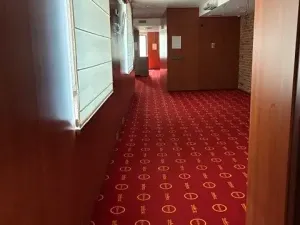 Pronájem komerční nemovitosti, Uherské Hradiště, Prostřední, 256 m2