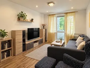 Prodej bytu 3+1, Ostrov, Kollárova, 68 m2