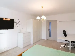 Pronájem bytu 2+1, Brno, Mathonova, 57 m2