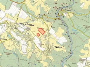 Prodej louky, Jílové u Držkova, 12382 m2
