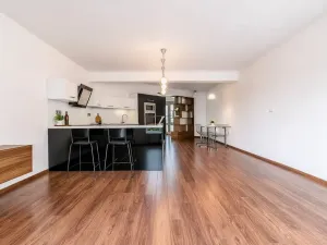 Prodej bytu 2+kk, České Budějovice, Rudolfovská tř., 96 m2