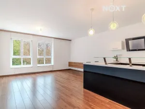 Prodej bytu 2+kk, České Budějovice, Rudolfovská tř., 96 m2