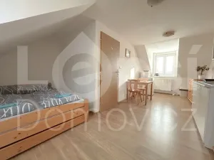 Prodej ubytování, Zlaté Hory, 330 m2