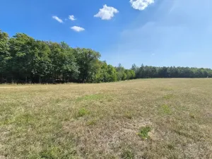 Prodej pole, Blansko, 7861 m2