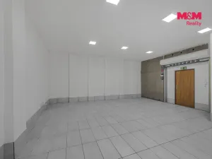 Pronájem skladu, Praha, Vlkova, 48 m2