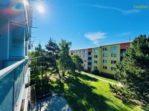 Pronájem bytu 1+1, Třebíč, Tolstého, 31 m2
