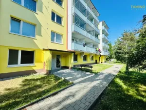 Pronájem bytu 1+1, Třebíč, Tolstého, 31 m2