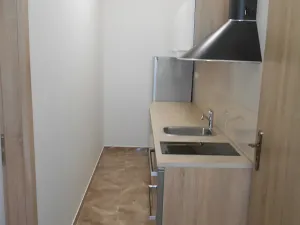 Pronájem bytu 1+kk, Praha - Žižkov, Hájkova, 40 m2