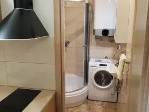 Pronájem bytu 1+kk, Praha - Žižkov, Hájkova, 40 m2
