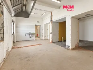 Pronájem obchodního prostoru, Jesenice, Budějovická, 52 m2