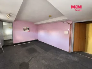 Pronájem obchodního prostoru, Jesenice, Budějovická, 237 m2