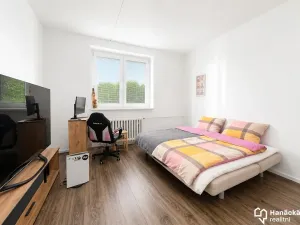 Prodej bytu 2+1, Šternberk, U Střelnice, 46 m2