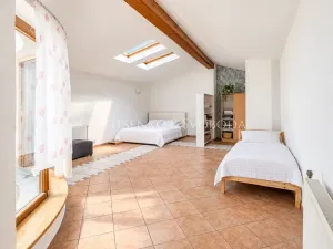 Prodej vícegeneračního domu, Jihlava, Brněnská, 300 m2