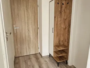 Pronájem bytu 1+1, Ostrava, Čujkovova, 27 m2
