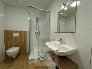 Pronájem bytu 2+kk, Brno, Stavební, 60 m2