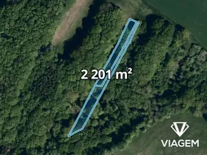 Prodej podílu lesa, Velký Ořechov, 1100 m2