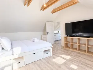 Pronájem bytu 2+kk, Bříství, 45 m2