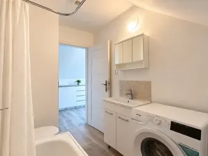 Pronájem bytu 2+kk, Bříství, 45 m2