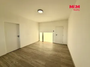 Prodej bytu 3+1, Ústí nad Labem - Krásné Březno, U Pivovarské zahrady, 80 m2