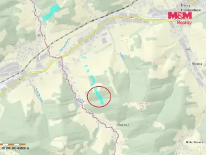 Prodej lesa, Nový Hrozenkov, 16666 m2