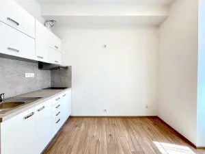 Pronájem bytu 2+kk, Brno, Cihlářská, 42 m2