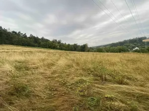 Dražba louky, Brumovice, 1160 m2