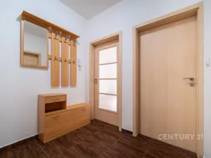 Prodej bytu 2+kk, České Budějovice - České Budějovice 5, Dobrovodská, 42 m2