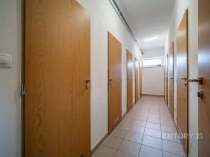 Prodej bytu 2+kk, České Budějovice - České Budějovice 5, Dobrovodská, 42 m2