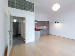 Pronájem bytu 2+kk, Praha - Nové Město, Novomlýnská, 57 m2