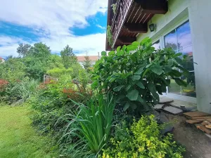Prodej rodinného domu, Pozděchov, 180 m2