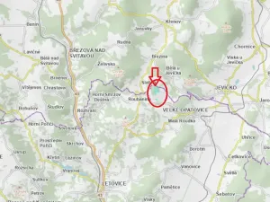 Prodej lesa, Velké Opatovice, 63108 m2