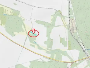 Prodej lesa, Moravský Krumlov, 2648 m2