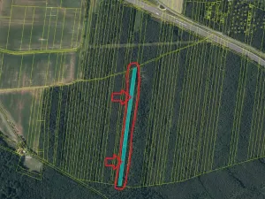 Prodej lesa, Řevničov, 11311 m2