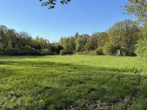 Prodej pozemku, Čížkov, 20250 m2
