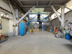 Pronájem výrobních prostor, Ostrava, 9648 m2