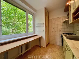 Prodej bytu 2+1, Brno, Podlesí, 53 m2