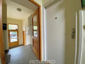 Pronájem bytu 2+kk, Brno, Obilní trh, 46 m2