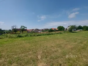 Prodej pozemku pro bydlení, Dražíč, 2918 m2