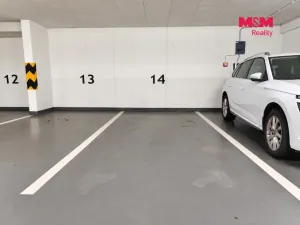 Pronájem bytu 2+kk, Praha, Rižská, 57 m2