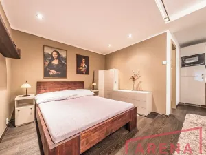 Pronájem bytu 1+kk, Brno, Žlutý kopec, 50 m2