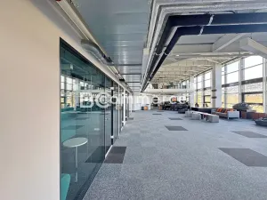 Pronájem kanceláře, Brno, Lazaretní, 380 m2