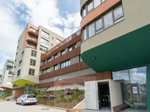 Pronájem garážového stání, Praha - Radlice, U Komína, 15 m2