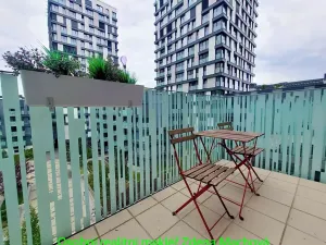 Pronájem bytu 1+kk, Praha - Žižkov, Olšanská, 40 m2