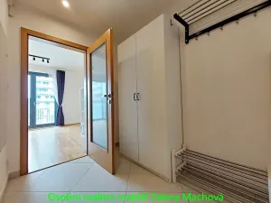 Pronájem bytu 1+kk, Praha - Žižkov, Olšanská, 40 m2