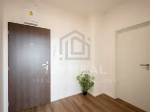 Pronájem bytu 2+kk, Pardubice, třída Míru, 53 m2