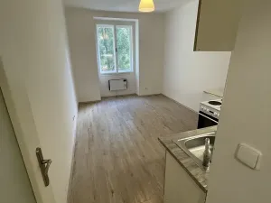 Pronájem bytu 1+kk, Praha - Žižkov, Zelenky-Hajského, 18 m2