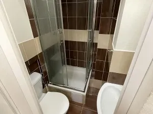 Pronájem bytu 1+kk, Praha - Žižkov, Zelenky-Hajského, 18 m2