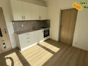 Pronájem bytu 1+1, Ostrava, Klegova, 40 m2