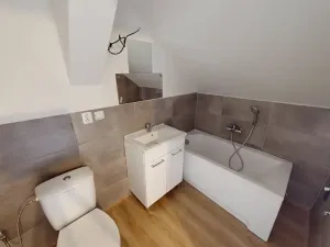 Pronájem bytu 1+1, Holčovice, 51 m2